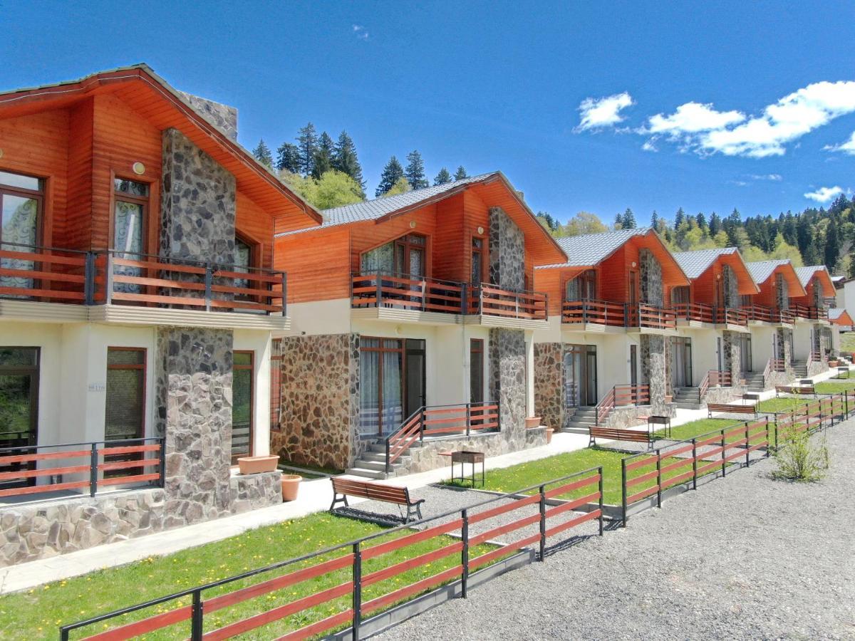 Villa Mtashi Bakuriani Eksteriør bilde