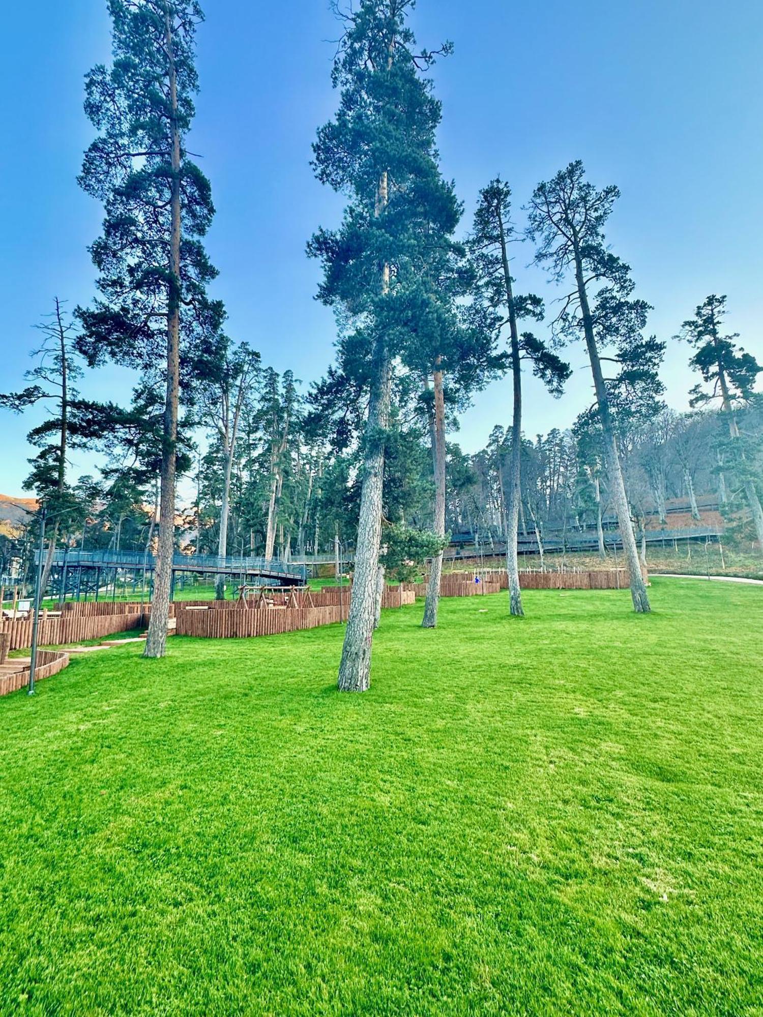 Villa Mtashi Bakuriani Eksteriør bilde